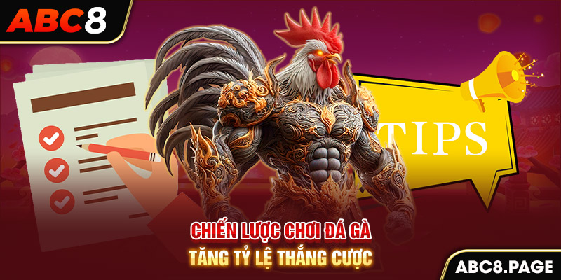 Chiến lược chơi đá gà tăng tỷ lệ thắng cược