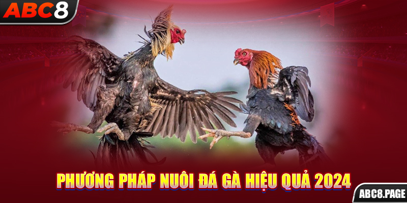 Phương pháp nuôi đá gà hiệu quả 2024